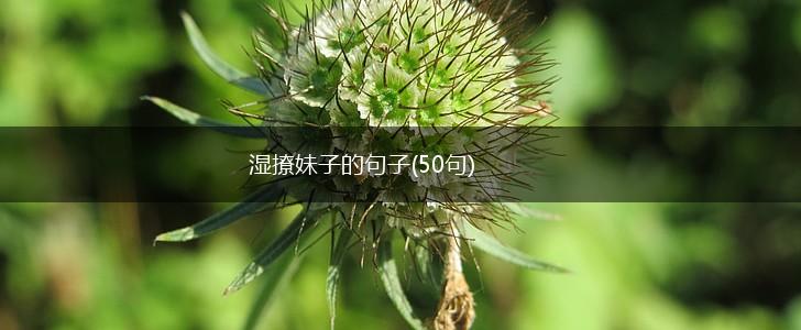 湿撩妹子的句子(50句),第1张