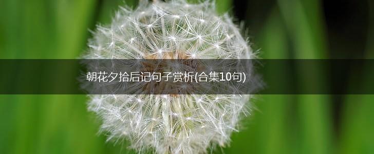 朝花夕拾后记句子赏析(合集10句),第1张