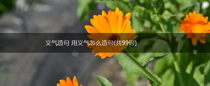 义气造句 用义气怎么造句(共99句),第1张
