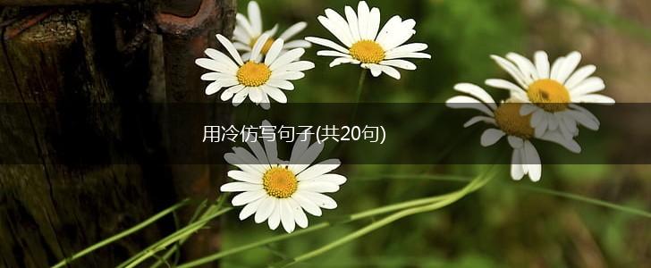 用冷仿写句子(共20句),第1张
