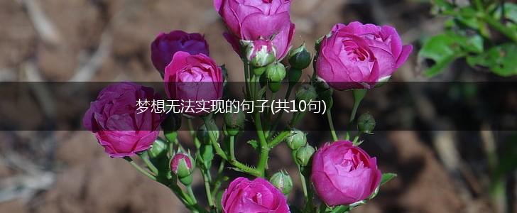 梦想无法实现的句子(共10句),第1张
