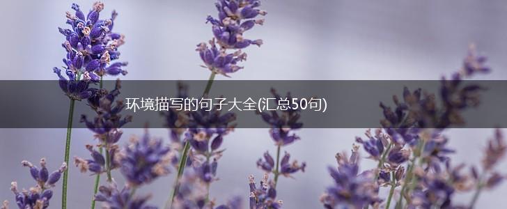 环境描写的句子大全(汇总50句),第1张
