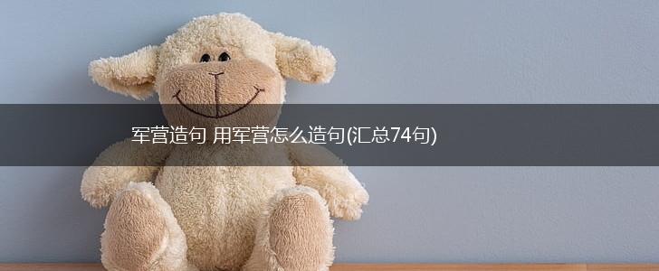 军营造句 用军营怎么造句(汇总74句),第1张