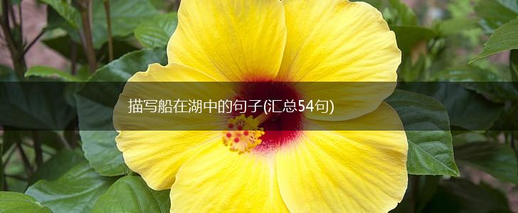 描写船在湖中的句子(汇总54句),第1张