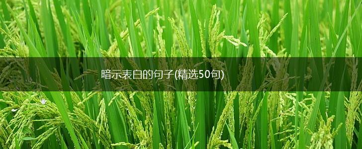 暗示表白的句子(精选50句),第1张