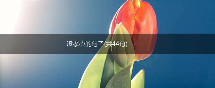 没孝心的句子(共44句),第1张