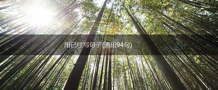 用已经写句子(通用94句),第1张