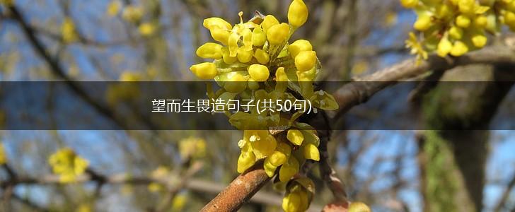 望而生畏造句子(共50句),第1张