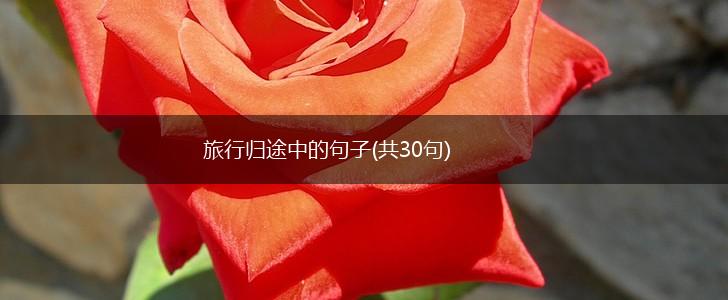 旅行归途中的句子(共30句),第1张