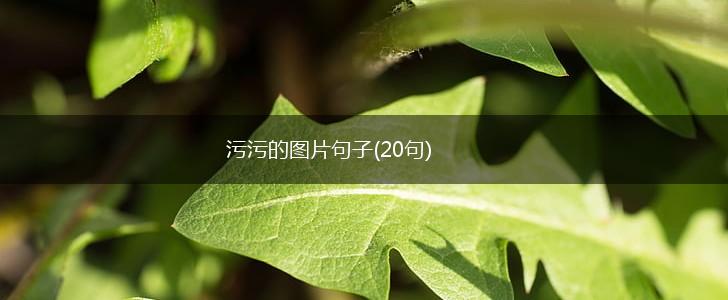 污污的图片句子(20句),第1张
