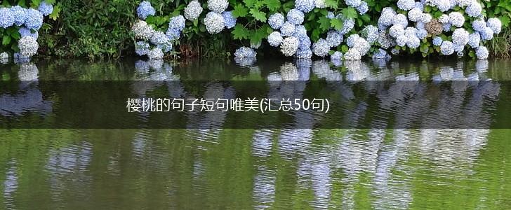 樱桃的句子短句唯美(汇总50句),第1张