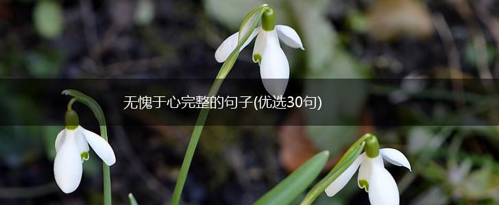 无愧于心完整的句子(优选30句),第1张