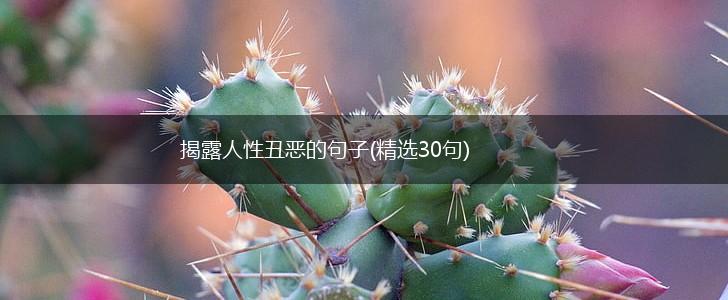 揭露人性丑恶的句子(精选30句),第1张