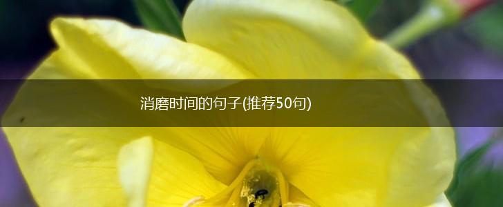 消磨时间的句子(推荐50句),第1张
