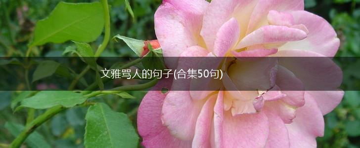 文雅骂人的句子(合集50句),第1张