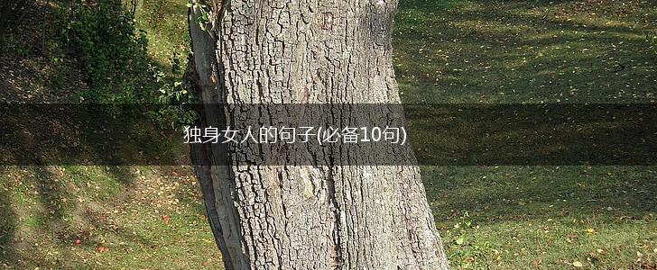 独身女人的句子(必备10句),第1张