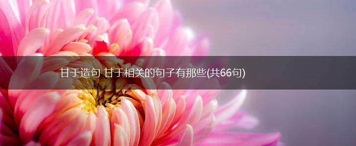 甘于造句 甘于相关的句子有那些(共66句),第1张