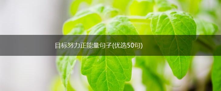 目标努力正能量句子(优选50句),第1张