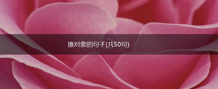撩对象的句子(共50句),第1张