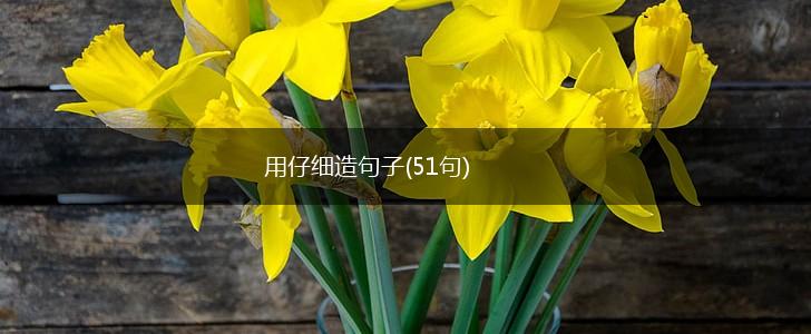 用仔细造句子(51句),第1张