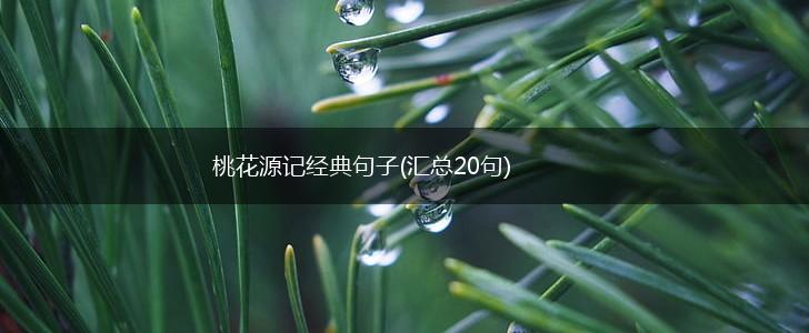 桃花源记经典句子(汇总20句),第1张