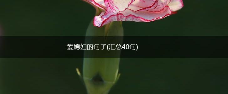爱媳妇的句子(汇总40句),第1张