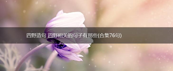 四野造句 四野相关的句子有那些(合集76句),第1张