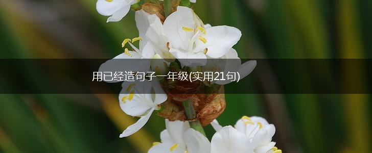 用已经造句子一年级(实用21句),第1张