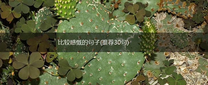 比较感慨的句子(推荐30句),第1张