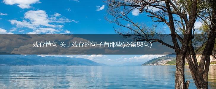 残存造句 关于残存的句子有那些(必备88句),第1张