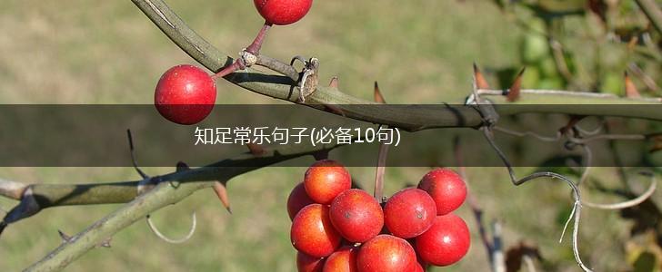 知足常乐句子(必备10句),第1张