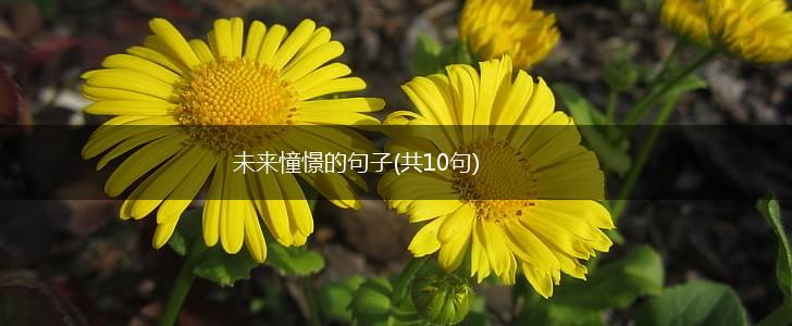未来憧憬的句子(共10句),第1张