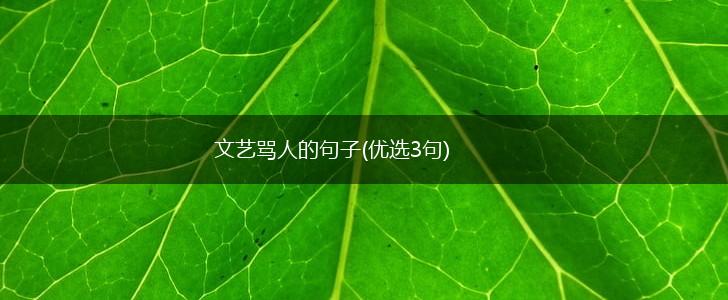 文艺骂人的句子(优选3句),第1张