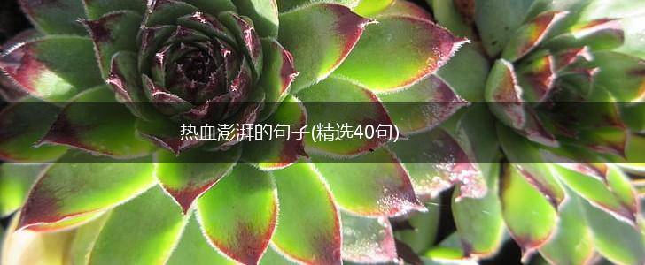 热血澎湃的句子(精选40句),第1张