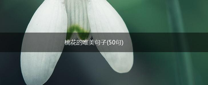 桃花的唯美句子(50句),第1张