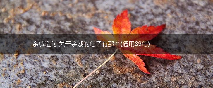 亲戚造句 关于亲戚的句子有那些(通用89句),第1张