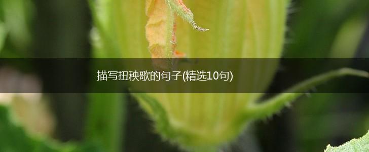 描写扭秧歌的句子(精选10句),第1张