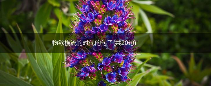 物欲横流的时代的句子(共20句),第1张