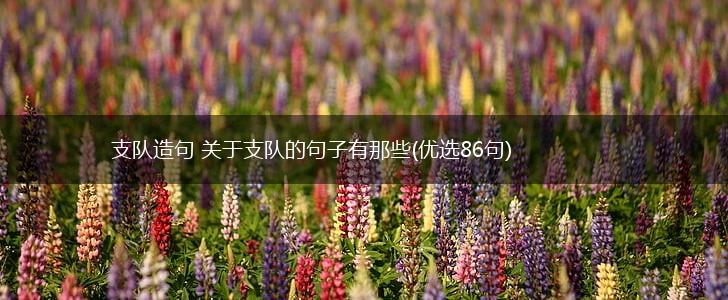 支队造句 关于支队的句子有那些(优选86句),第1张