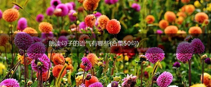 朗读句子的语气有哪些(合集50句),第1张