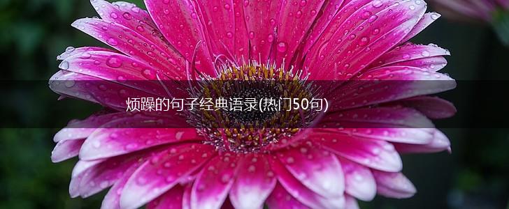 烦躁的句子经典语录(热门50句),第1张