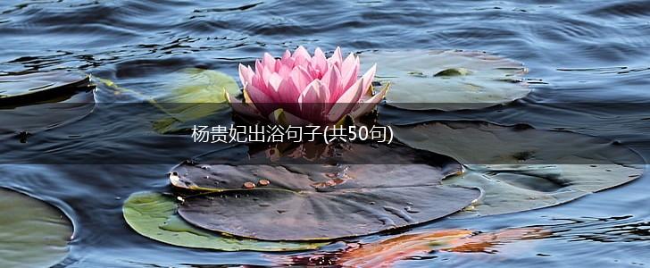 杨贵妃出浴句子(共50句),第1张