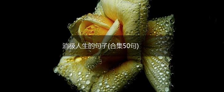 消极人生的句子(合集50句),第1张