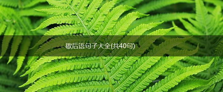 歇后语句子大全(共40句),第1张