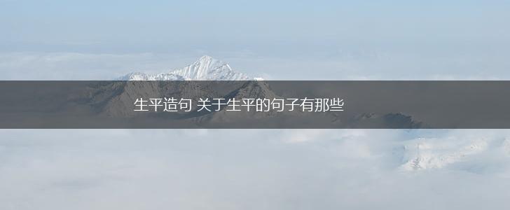 生平造句 关于生平的句子有那些,第1张