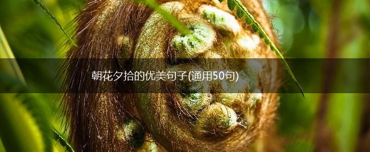 朝花夕拾的优美句子(通用50句),第1张
