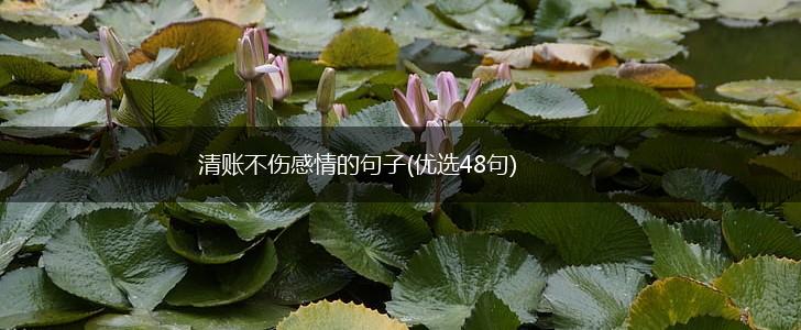 清账不伤感情的句子(优选48句),第1张