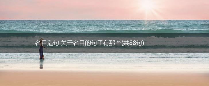名目造句 关于名目的句子有那些(共88句),第1张