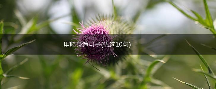 用船身造句子(优选10句),第1张