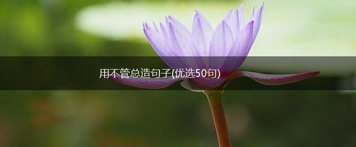 用不管总造句子(优选50句),第1张